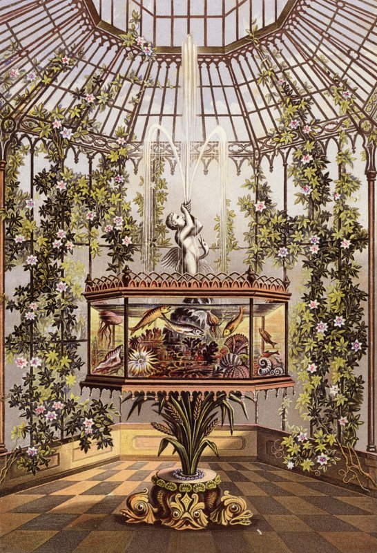 Konservatorium og akvarium af English School