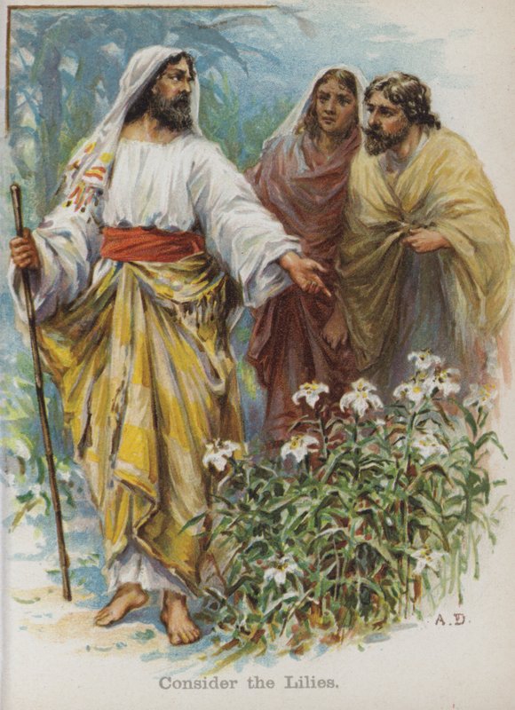 Overvej liljerne (chromolitho) af English School
