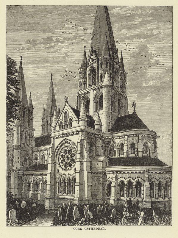 Cork Katedral af English School