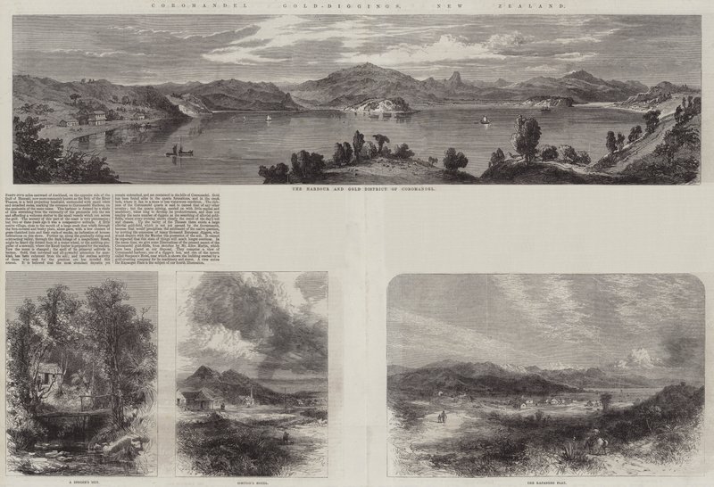 Coromandel Gold-Diggings, New Zealand (gravering) af English School