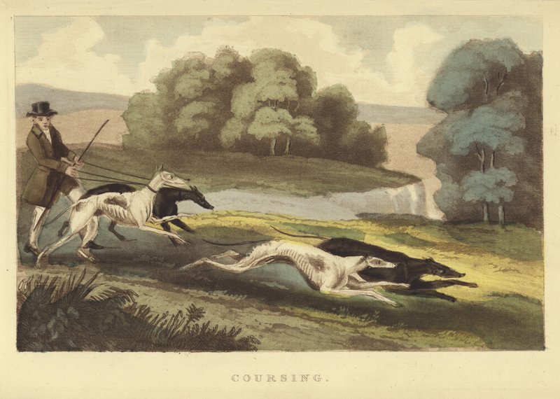 Coursing (farvet gravering) af English School