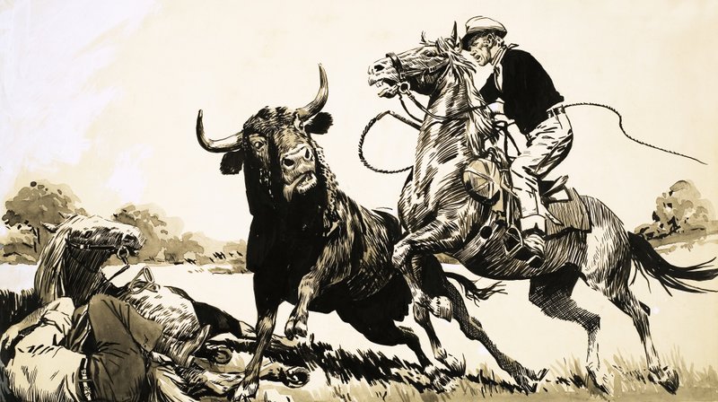 Cowboys i den australske outback forsøger at reb en tyr af English School