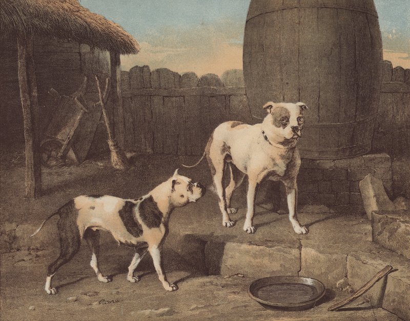 Krybbe og Rosa (chromolitho) af English School