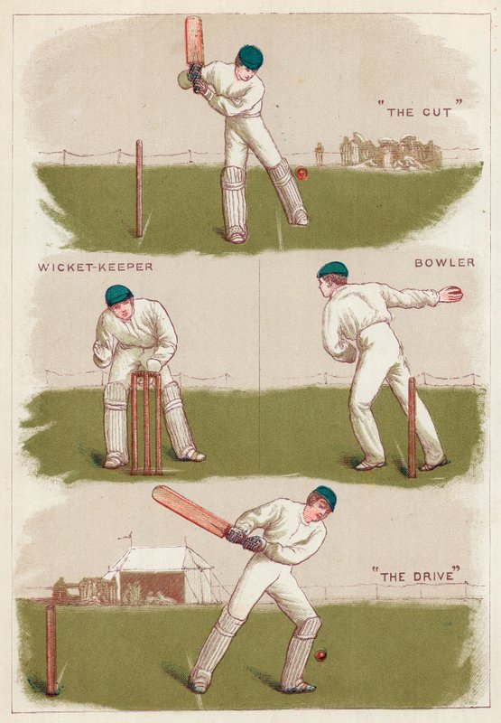 Cricket af English School