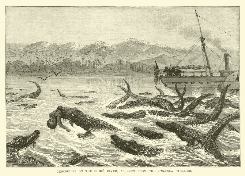 Krokodiller på Shire-floden, set fra Pioneer Steamer af English School