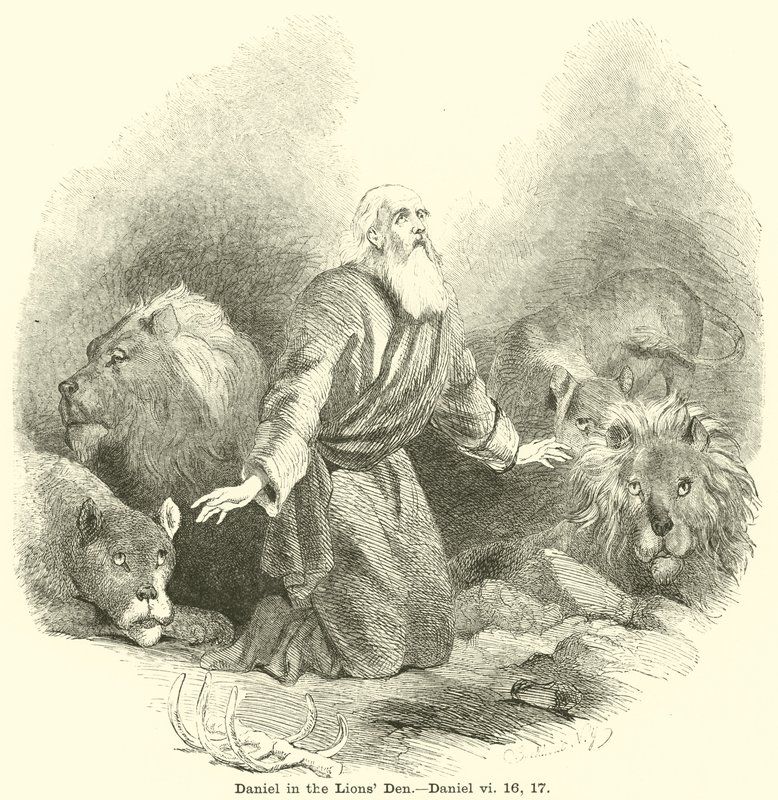 Daniel i Løvehulen, Daniel, vi, 16, 17 af English School