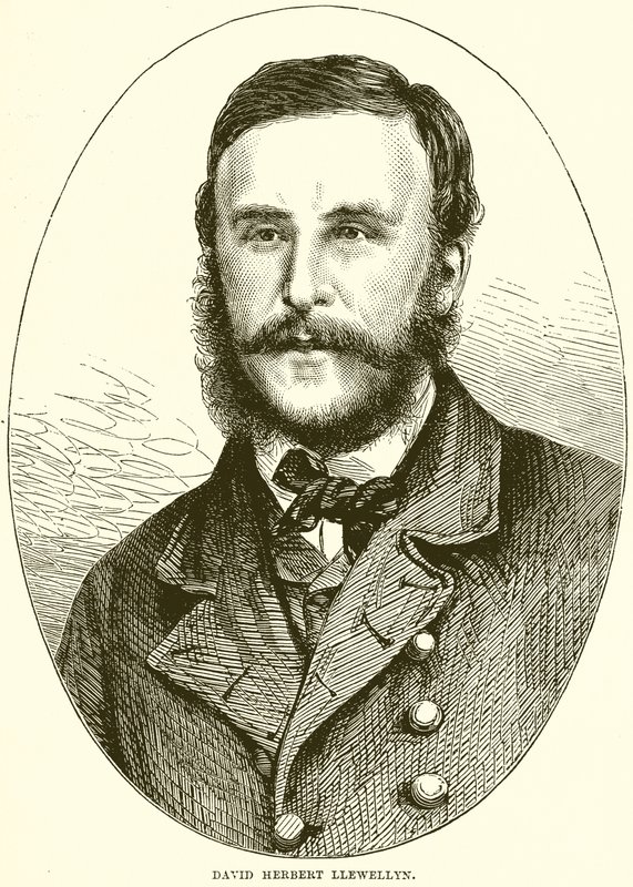 David Herbert Llewellyn af English School