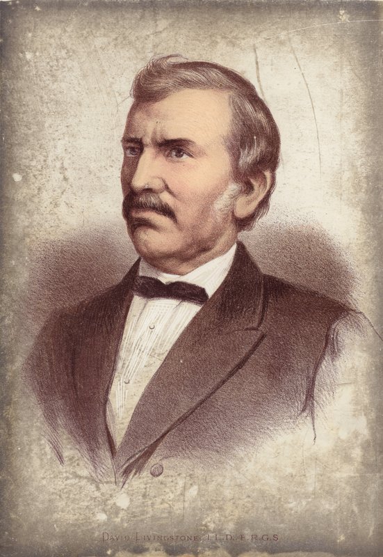 David Livingstone, opdagelsesrejsende af English School