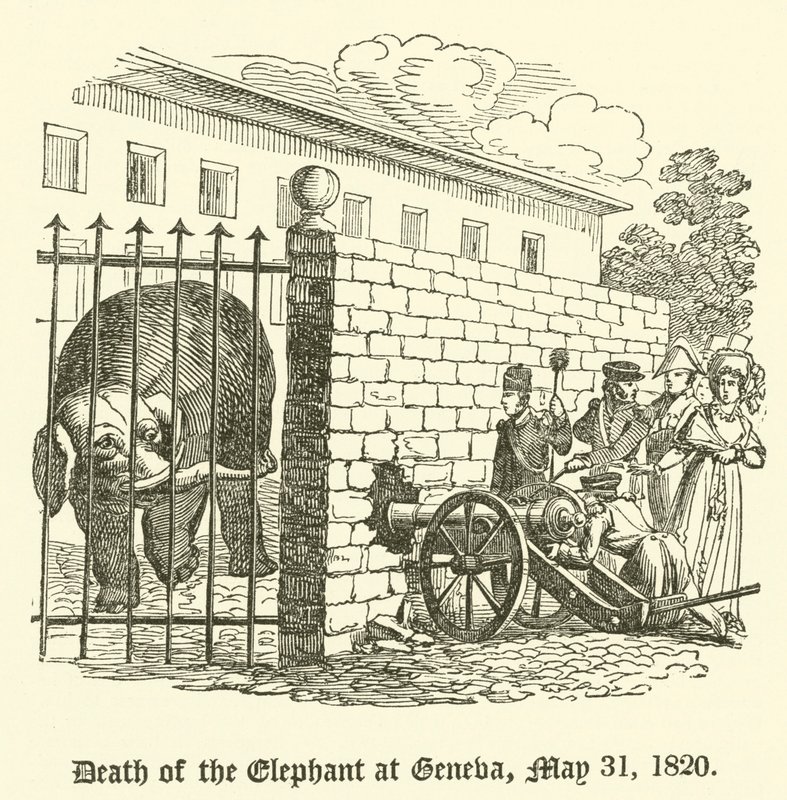 Elefantens død i Genève, 31. maj 1820 af English School