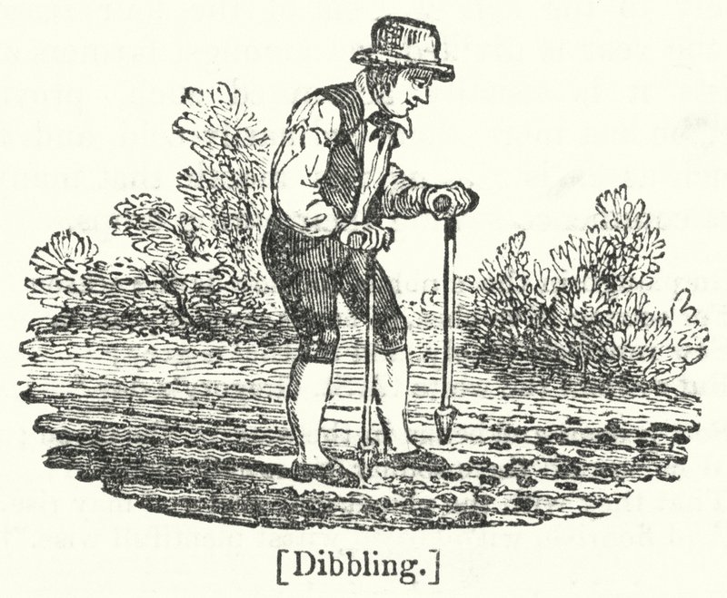 Dibbling af English School