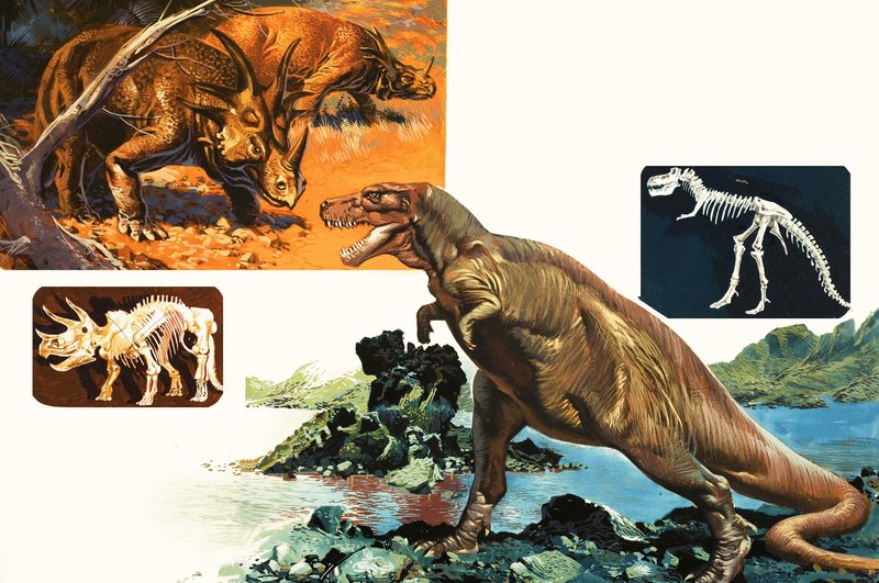 Dinosaurer og skeletter. Stegosaurus og Tyrannosaurus af English School