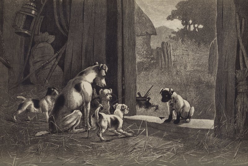 Hund (chromolitho) af English School
