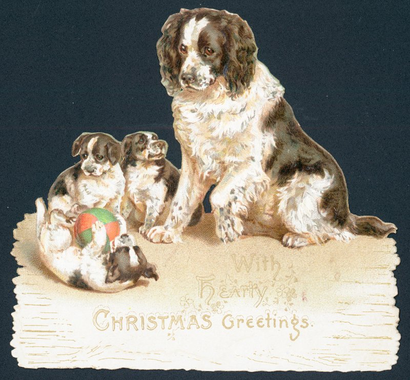 Hund og hvalpe, julekort af English School