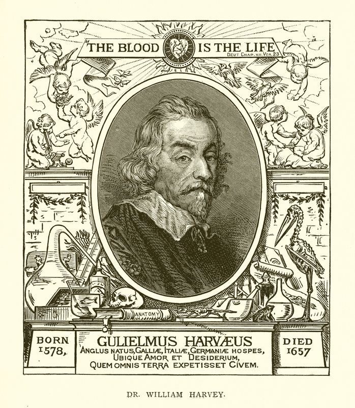 Dr. William Harvey af English School