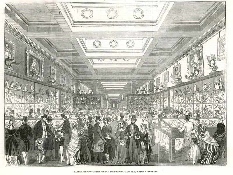 Påskedag - Great Zoological Gallery, British Museum af English School