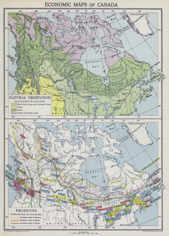 Økonomiske kort over Canada (farvelitografi) af English School