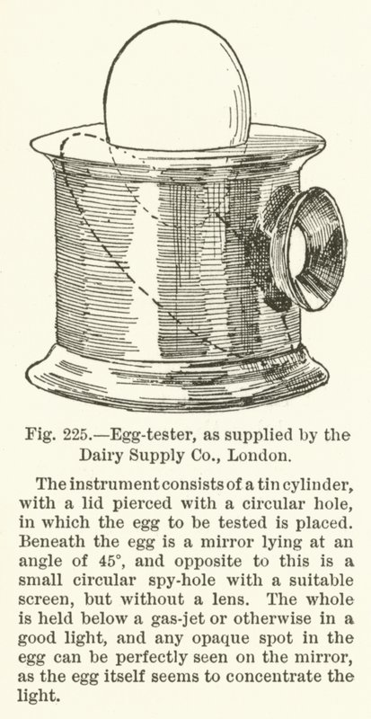 Æggetester, som leveret af Dairy Supply Company, London af English School