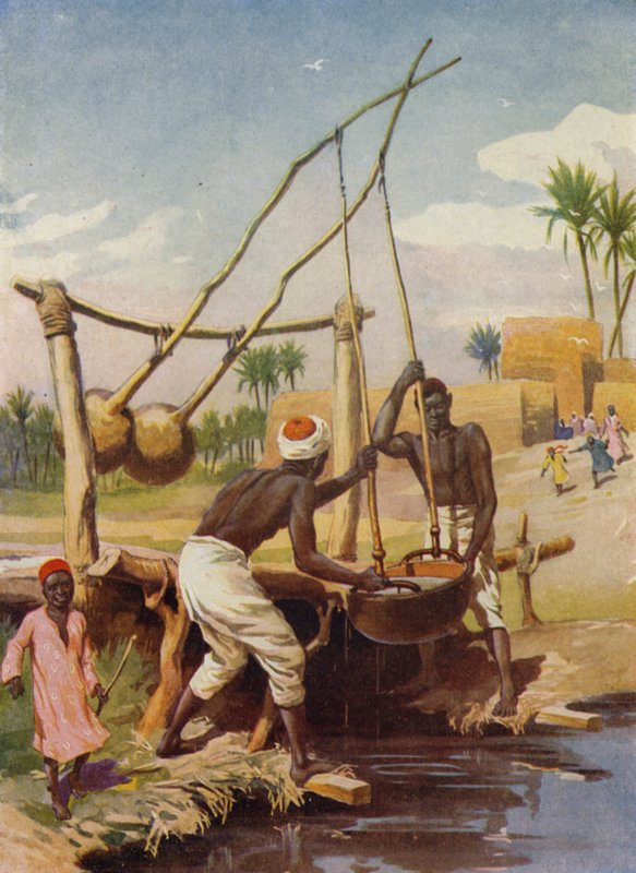 Egyptisk vandbrønd (farve litho) af English School