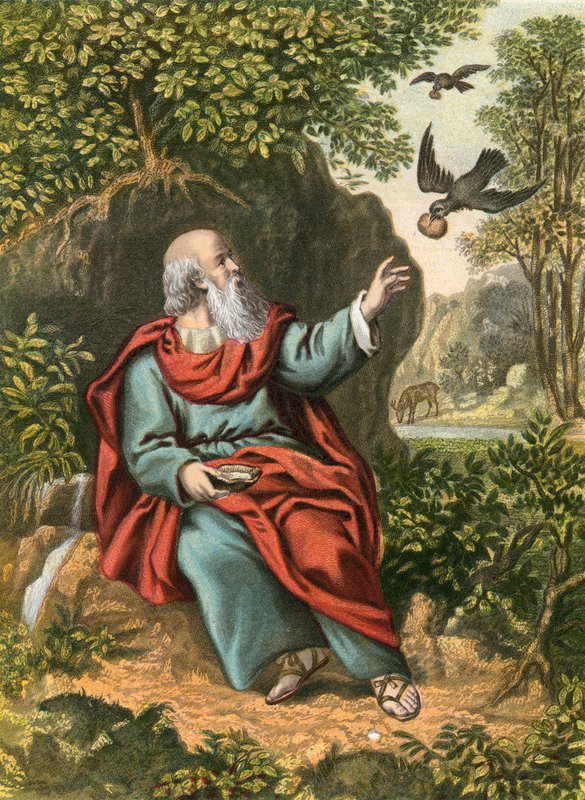 Elias fodret af ravne af English School