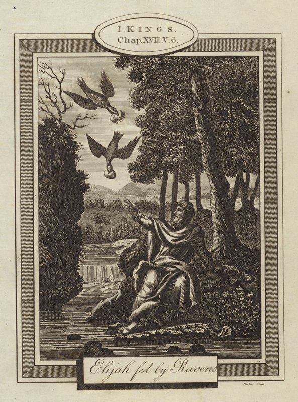 Elias fodret af Ravens, I Kings, Kapitel XVII, Vers 6 (gravering) af English School