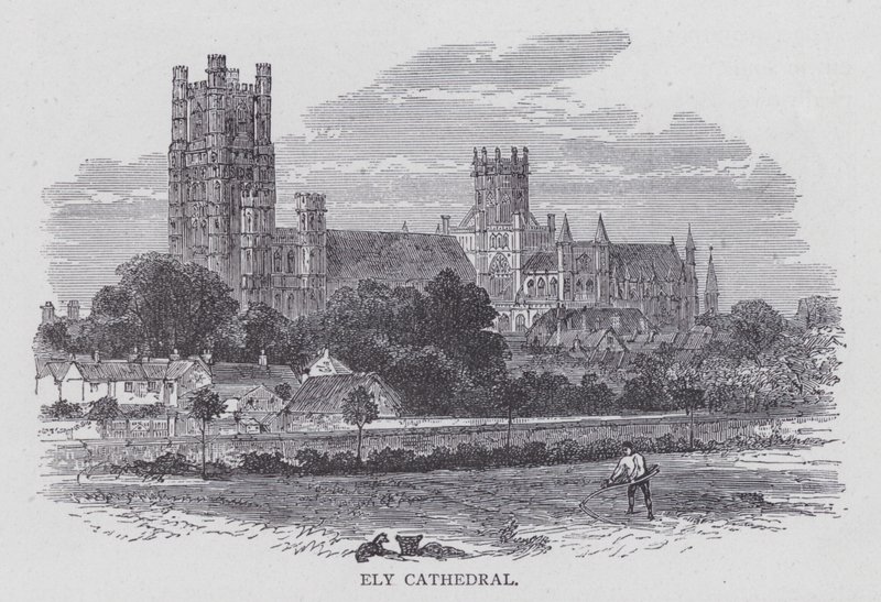 Ely Cathedral (gravering) af English School