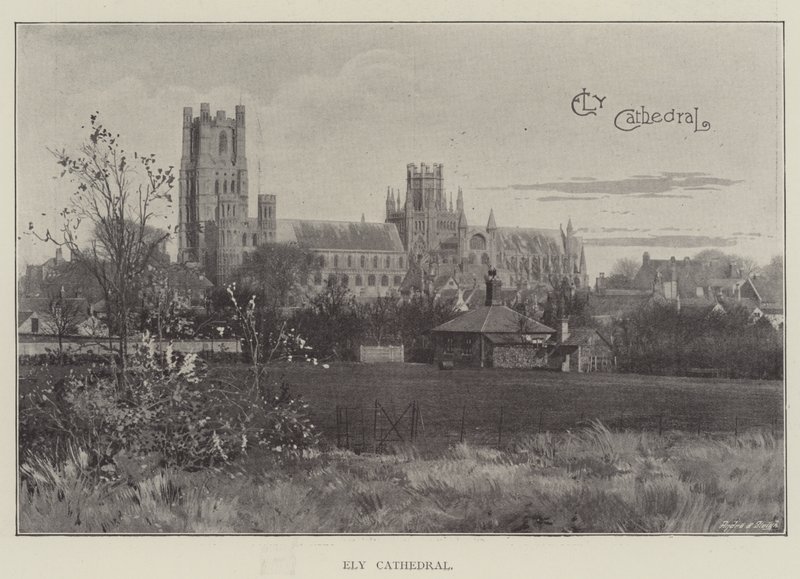 Ely Cathedral (litho) af English School
