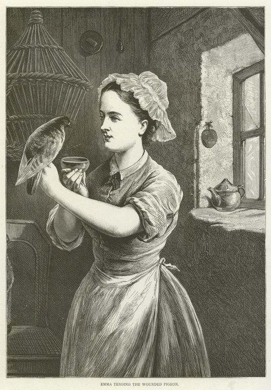 Emma tending the wounded pigeon  af English School