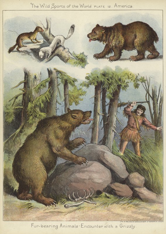 Møde med en grizzly af English School