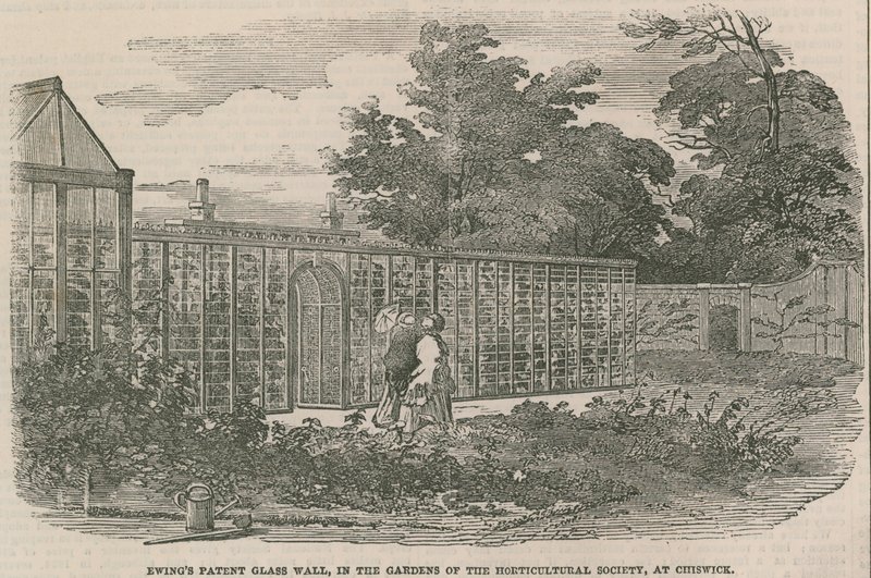 Ewings Patent Glass Wall, i haverne til Horticultural Society i Chiswick af English School