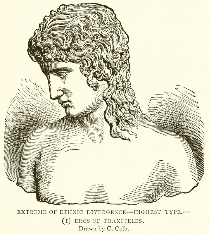 Ekstrem etnisk divergens--højeste type.--(1) Eros of Praxiteles af English School