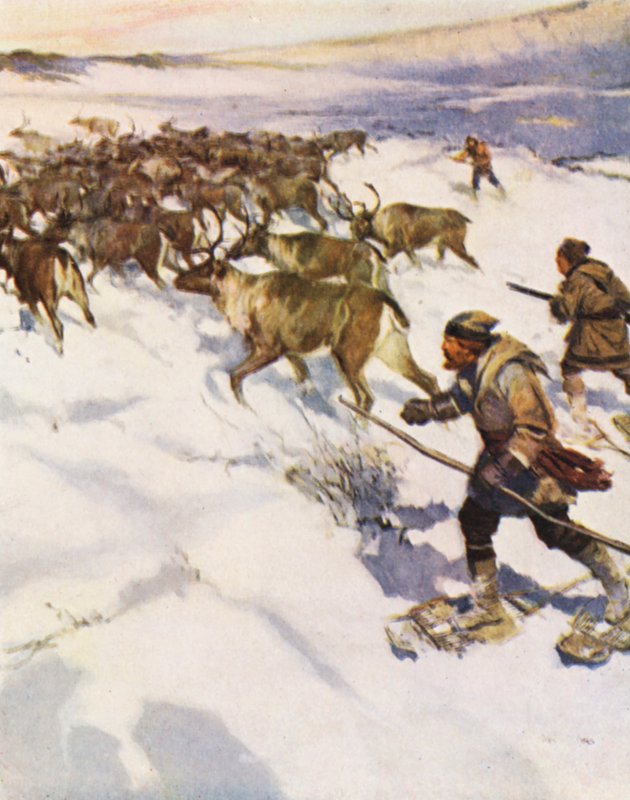 Faktor John McLean samler en flok caribouer i Labrador for Hudson