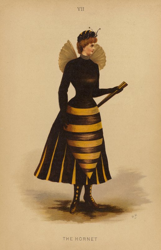 Udklædningstøj: The Hornet (farvelitografi) af English School