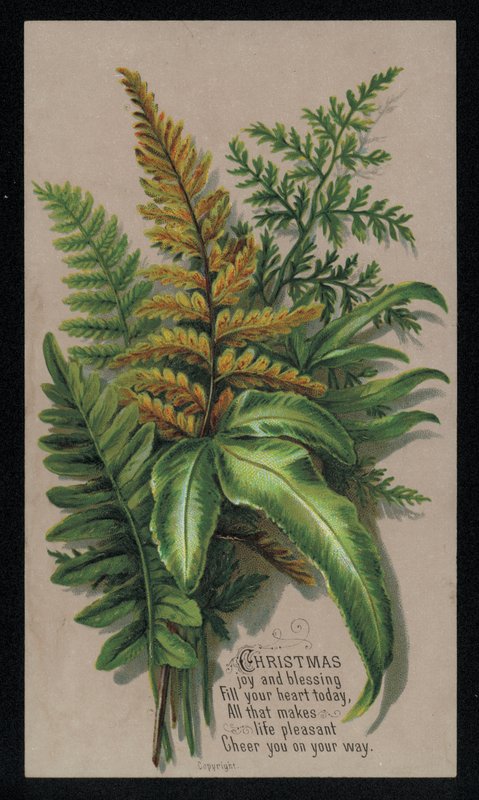 Festligt bladarrangement, julekort (chromolitho) af English School