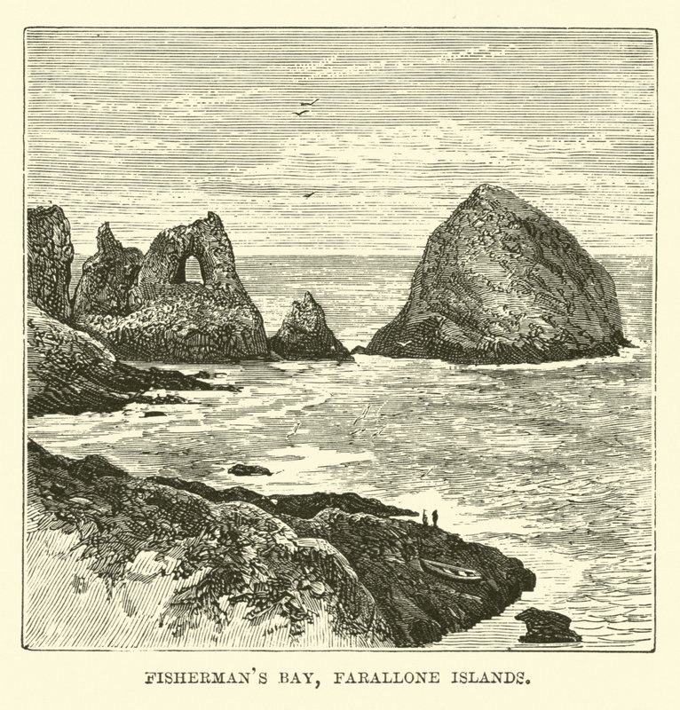 Fishermans Bay, Farallonøerne af English School