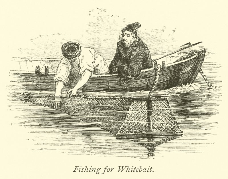 Fishing for Whitebait  af English School