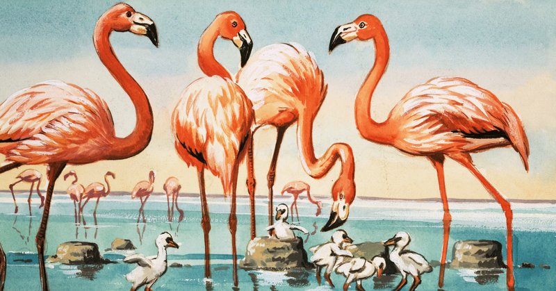 Flamingoer af English School