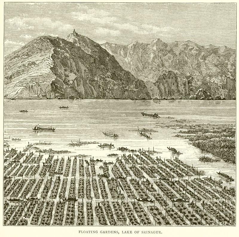 Flydende haver, Srinagar-søen af English School