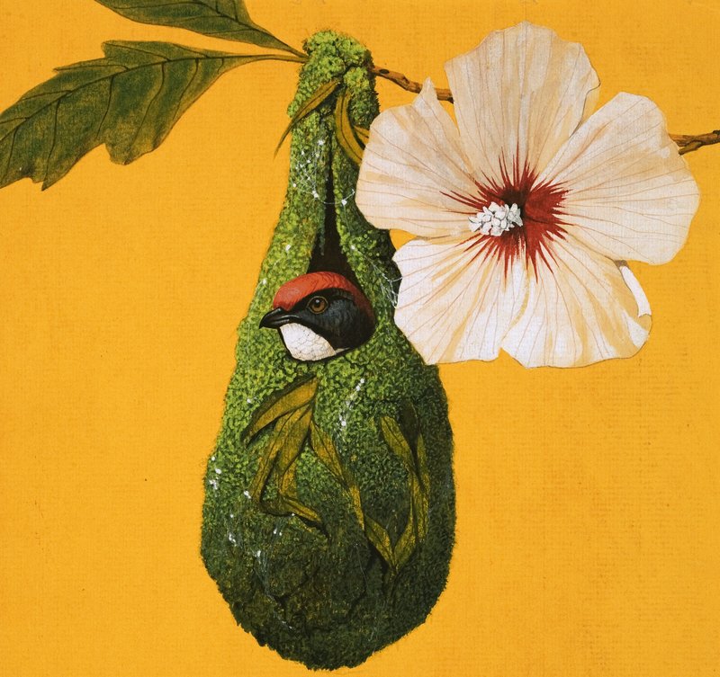 Blomsterspætte fra Indien og Australien af English School