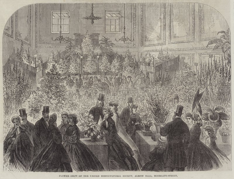 Flower Show of the United Horticultural Society, Albion Hall, Moorgate-Street (gravering) af English School