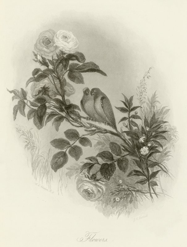 Blomster af English School