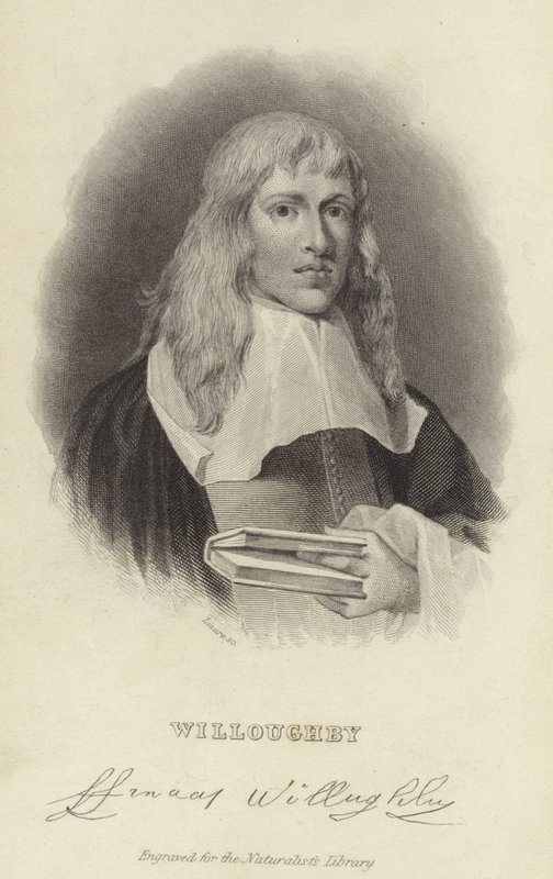 Francis Willughby af English School