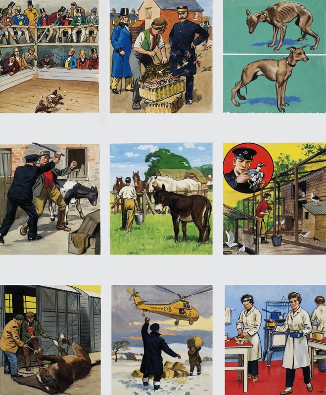 Fra dengang til nu: Historien om RSPCA af English School