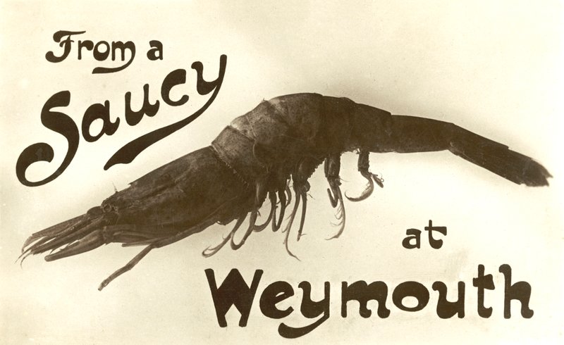 Fra en saftig reje i Weymouth, lykønskningskort (litho) af English School