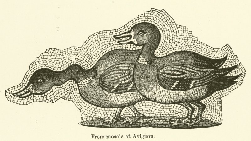 Fra mosaik i Avignon (gravering) af English School