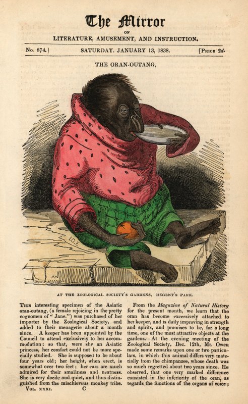 Forsiden af The Mirror fra 13. januar 1838, der fejrer ankomsten af en orangutang til Zoological Society
