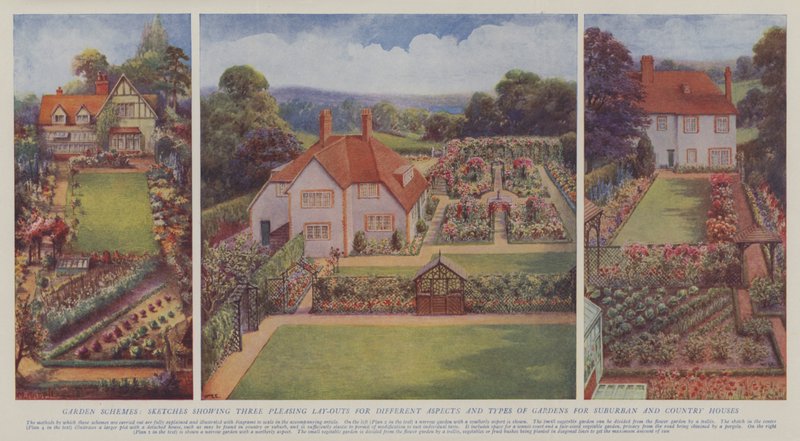 Haveplaner, skitser, der viser tre behagelige layouts for forskellige aspekter og typer af haver til forstads- og landhuse (farvelitografi) af English School