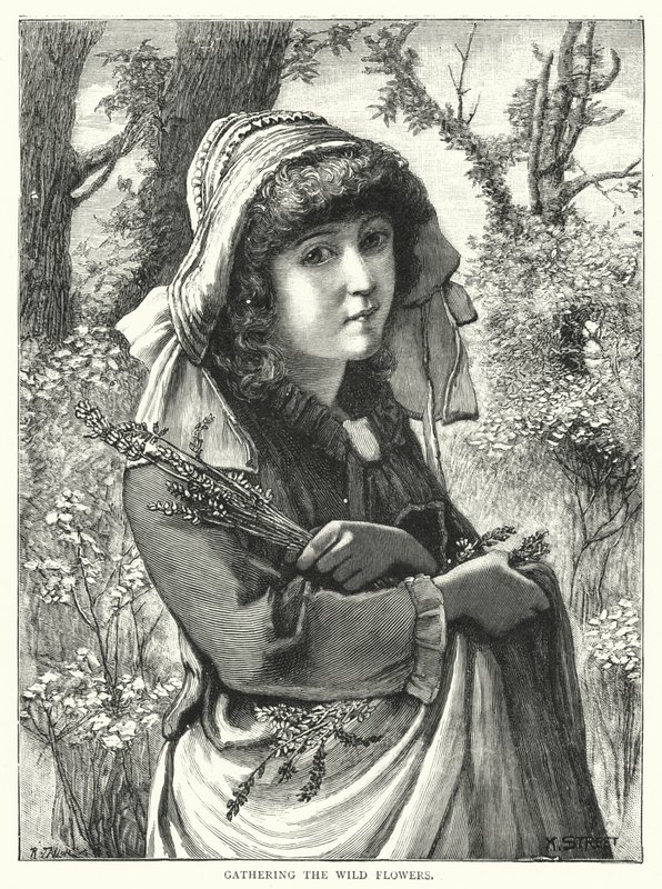 Indsamling af vilde blomster (gravering) af English School