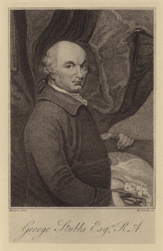 George Stubbs af English School