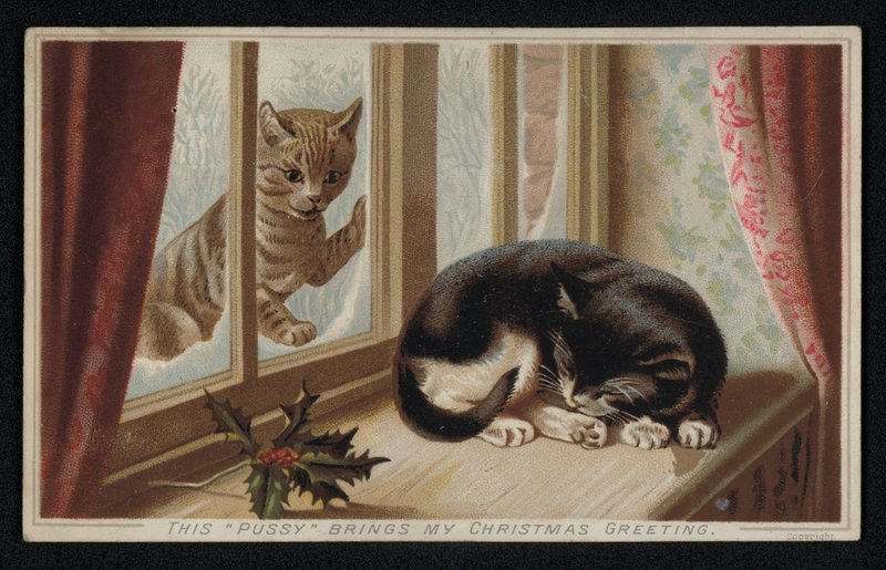 Ingefær kat kigger gennem et vindue på en anden sovende kat, julehilsenskort (chromolitho) af English School