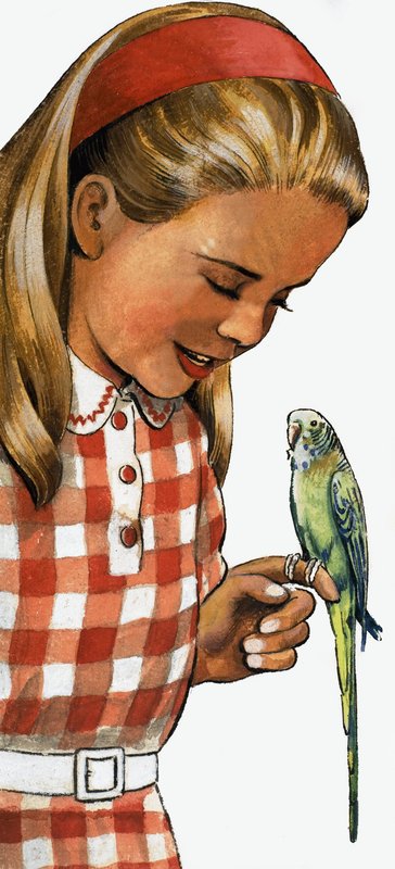Pige med undulat af English School